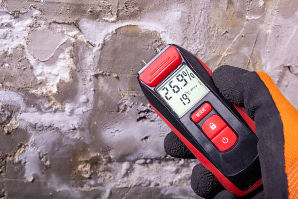 Best Localized Mold Remediation (e.g., coastal areas, humid climates) in Nutter Fort, WV