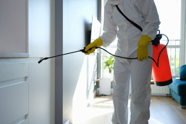 Trusted Nutter Fort, WV Mold Remediation Experts